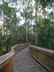 Boardwalk langs de Blue Spring