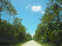 Loop trail: alsmaar rechtdoor