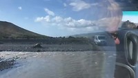 Buisritje naar Reykjavik
