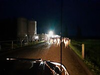 IMG-20241208-WA0003