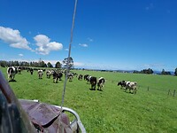 IMG-20241211-WA0008