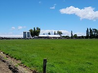 IMG-20241211-WA0003