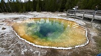 Yellowstone, morning glory pool