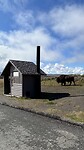 Yellowstone, Bizon met hoge nood