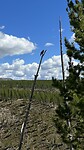 Grand Teton