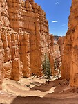 Bryce Canyon