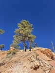 Bryce Canyon