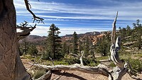 Bryce Canyon