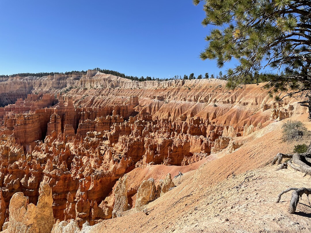 Bryce Canyon