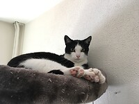 IMG_1611