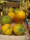 Papajas