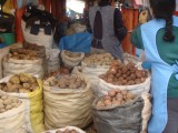 Aardappelen in alle vormen, groottes en kleuren