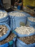 Champignons? Wie zal het zeggen