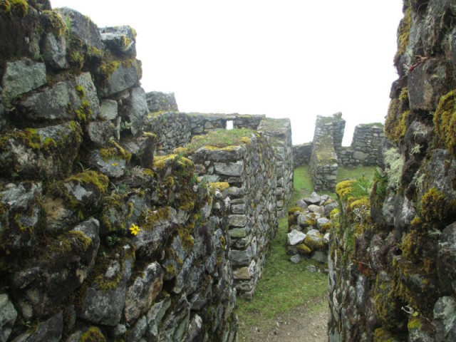 Sayaqmarca