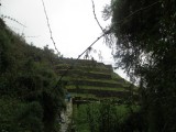 Wiñaywayna