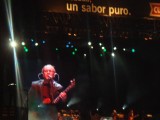Enanitos Verdes in Jardines de la Cusqueña