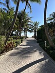 IMG_0274