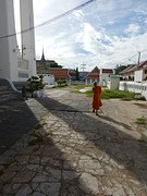 monnik