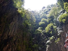 Leefgedeelte van de apen in de Batu Caves