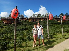 Chinese village
