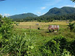 Het landschap van Pai