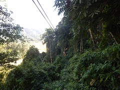 De gids aan de zipline