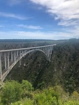 IMG_8931