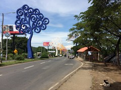 Managua en zijn bomen