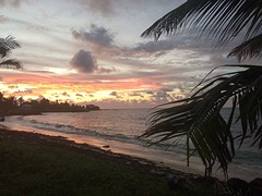 IMG_0788