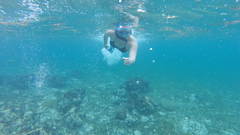 Snorkelen