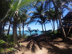 IMG_0905