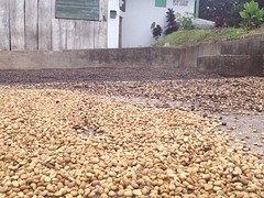 Dry-and-soak