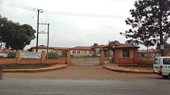IMG_20160803_181848