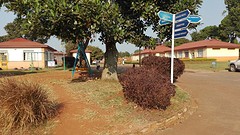 IMG_20160801_165520