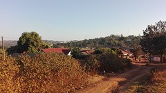 IMG_20160818_180332