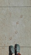 IMG_20160818_094829