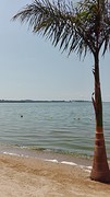 IMG_20160814_104446