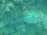 P1160337