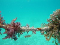 P1160221