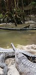 20191012_114320