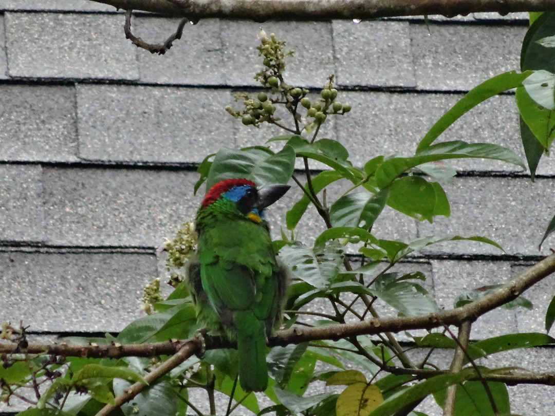 DSC00102_1