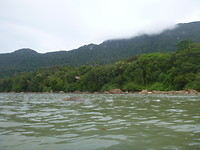 P1170007