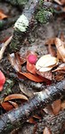 20191015_105431