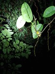 20191026_205504