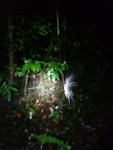 20191026_204846