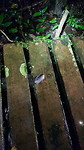 20191026_204742