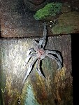 20191026_203354