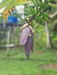 20191026_162055