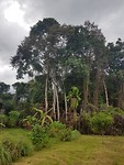 20191026_161747