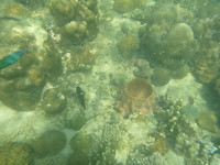 P1200095